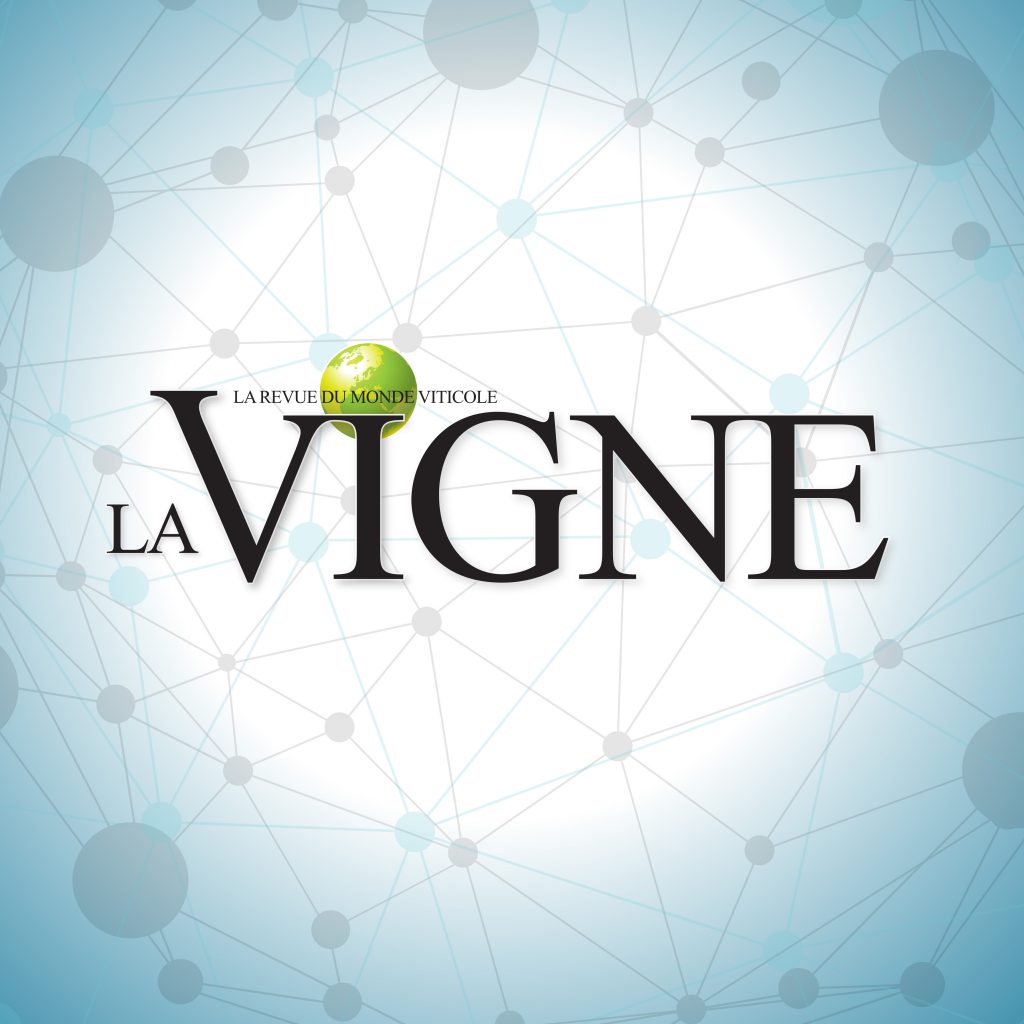 La Vigne
