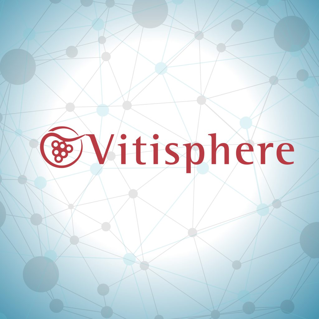 Vitisphère